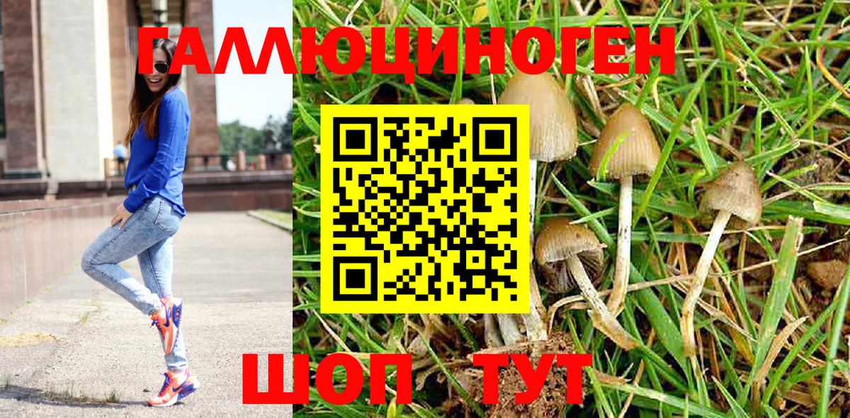 Псилоцибиновые грибы MAGIC MUSHROOMS  Галлюциногенные грибы Psilocybine cubensis  Вход с VPN  Рузаевка 